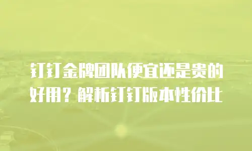钉钉金牌团队便宜还是贵的好用？解析钉钉版本性价比
