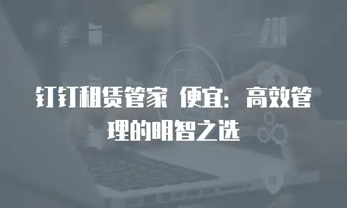 钉钉租赁管家 便宜：高效管理的明智之选