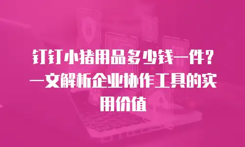 钉钉小猪用品多少钱一件？一文解析企业协作工具的实用价值