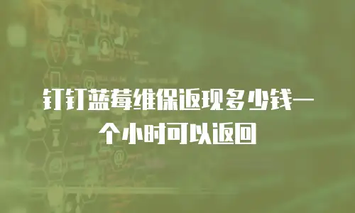 钉钉蓝莓维保返现多少钱一个小时可以返回