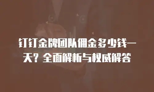 钉钉金牌团队佣金多少钱一天？全面解析与权威解答