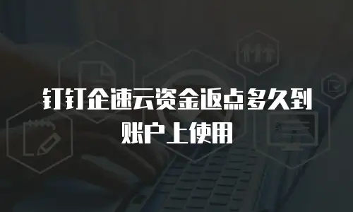 钉钉企速云资金返点多久到账户上使用