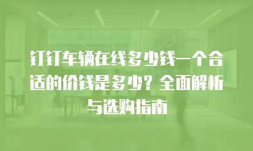钉钉车辆在线多少钱一个合适的价钱是多少？全面解析与选购指南