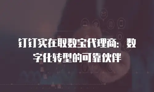 钉钉实在取数宝代理商：数字化转型的可靠伙伴