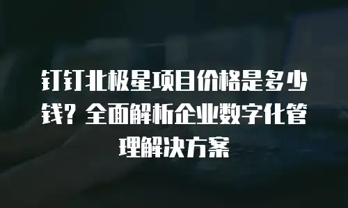 钉钉北极星项目价格是多少钱？全面解析企业数字化管理解决方案