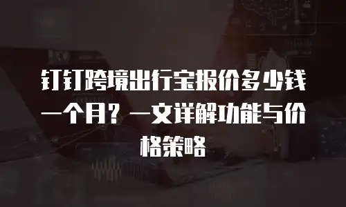 钉钉跨境出行宝报价多少钱一个月？一文详解功能与价格策略