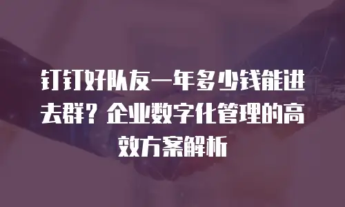 钉钉好队友一年多少钱能进去群？企业数字化管理的高效方案解析