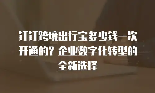 钉钉跨境出行宝多少钱一次开通的？企业数字化转型的全新选择