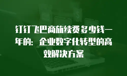 钉钉飞巴商旅续费多少钱一年的：企业数字化转型的高效解决方案