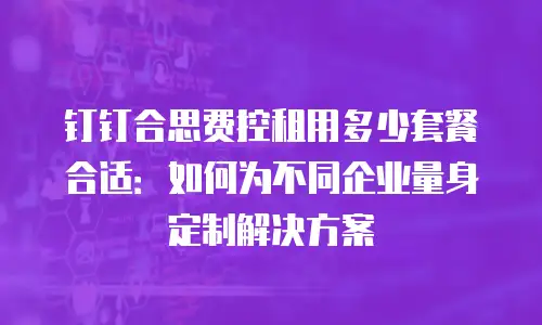钉钉合思费控租用多少套餐合适：如何为不同企业量身定制解决方案