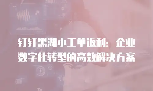 钉钉黑湖小工单返利：企业数字化转型的高效解决方案