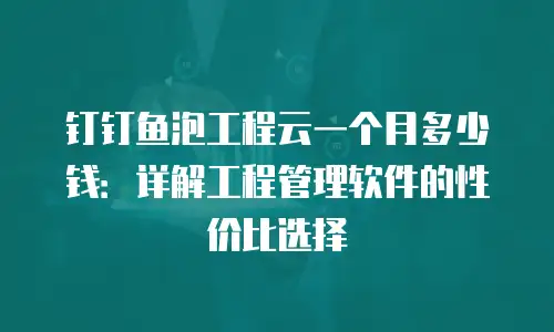 钉钉鱼泡工程云一个月多少钱：详解工程管理软件的性价比选择