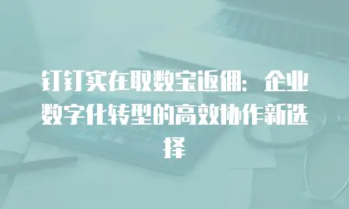 钉钉实在取数宝返佣：企业数字化转型的高效协作新选择