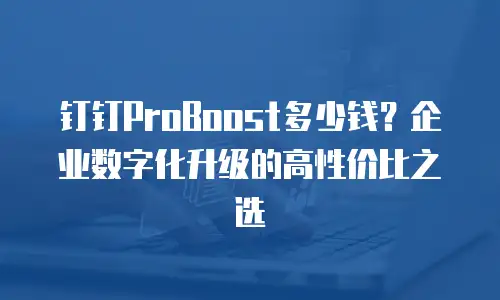 钉钉ProBoost多少钱？企业数字化升级的高性价比之选