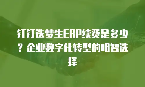 钉钉迭梦生ERP续费是多少？企业数字化转型的明智选择