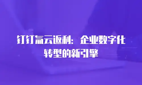 钉钉氚云返利：企业数字化转型的新引擎