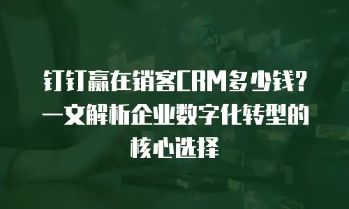 钉钉赢在销客CRM多少钱？一文解析企业数字化转型的核心选择