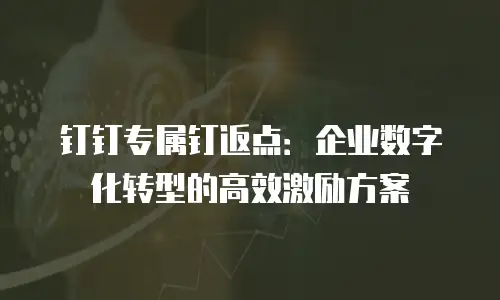 钉钉专属钉返点：企业数字化转型的高效激励方案