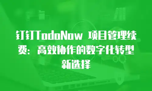 钉钉TodoNow 项目管理续费：高效协作的数字化转型新选择