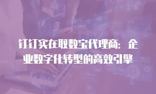 钉钉实在取数宝代理商：企业数字化转型的高效引擎
