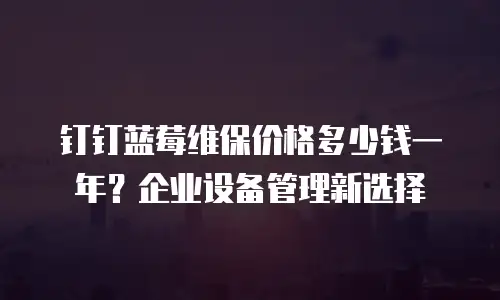 钉钉蓝莓维保价格多少钱一年？企业设备管理新选择