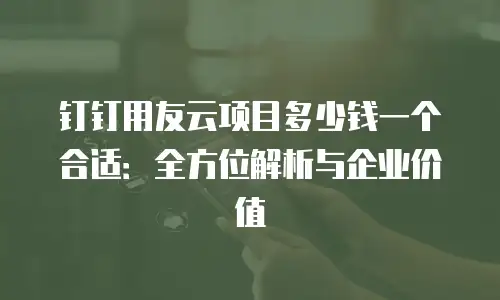 钉钉用友云项目多少钱一个合适：全方位解析与企业价值