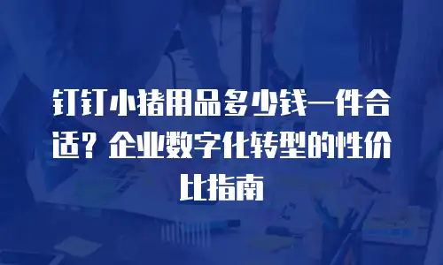 钉钉小猪用品多少钱一件合适？企业数字化转型的性价比指南