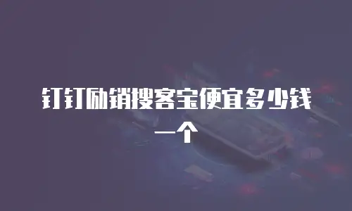 钉钉励销搜客宝便宜多少钱一个