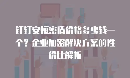 钉钉安恒密盾价格多少钱一个？企业加密解决方案的性价比解析
