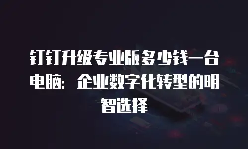 钉钉升级专业版多少钱一台电脑：企业数字化转型的明智选择