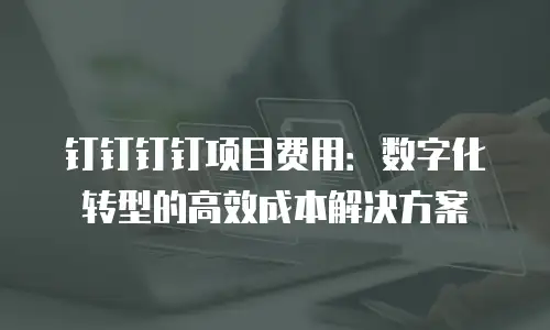 钉钉钉钉项目费用：数字化转型的高效成本解决方案