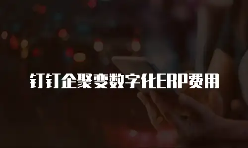 钉钉企聚变数字化ERP费用
