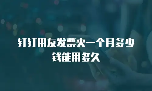 钉钉用友发票夹一个月多少钱能用多久