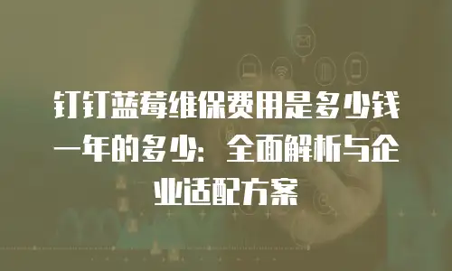钉钉蓝莓维保费用是多少钱一年的多少：全面解析与企业适配方案