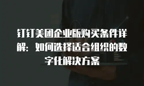 钉钉美团企业版购买条件详解：如何选择适合组织的数字化解决方案