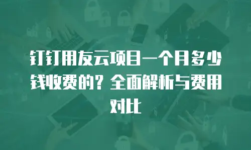 钉钉用友云项目一个月多少钱收费的？全面解析与费用对比