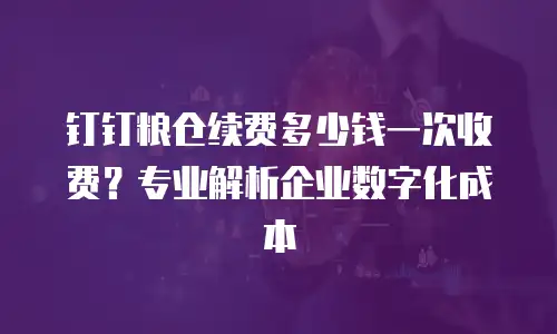 钉钉粮仓续费多少钱一次收费？专业解析企业数字化成本
