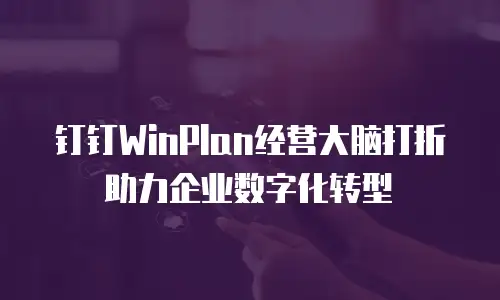钉钉WinPlan经营大脑打折助力企业数字化转型