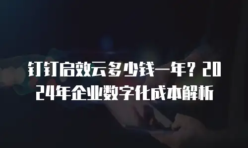 钉钉启效云多少钱一年？2024年企业数字化成本解析