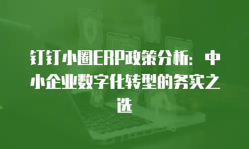 钉钉小圈ERP政策分析：中小企业数字化转型的务实之选