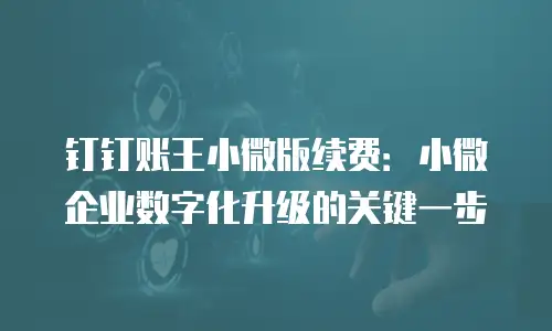 钉钉账王小微版续费：小微企业数字化升级的关键一步