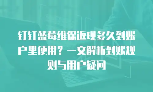 钉钉蓝莓维保返现多久到账户里使用？一文解析到账规则与用户疑问