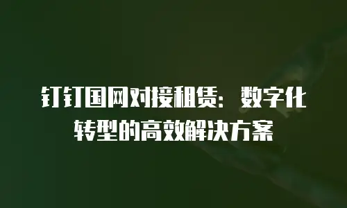 钉钉国网对接租赁：数字化转型的高效解决方案