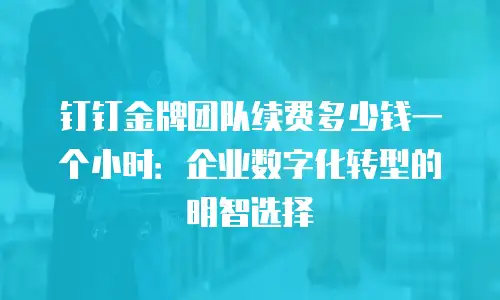钉钉金牌团队续费多少钱一个小时：企业数字化转型的明智选择