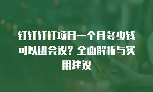 钉钉钉钉项目一个月多少钱可以进会议？全面解析与实用建议