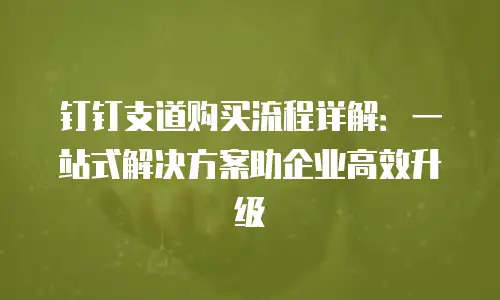 钉钉支道购买流程详解：一站式解决方案助企业高效升级