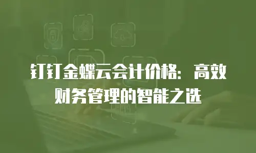 钉钉金蝶云会计价格：高效财务管理的智能之选