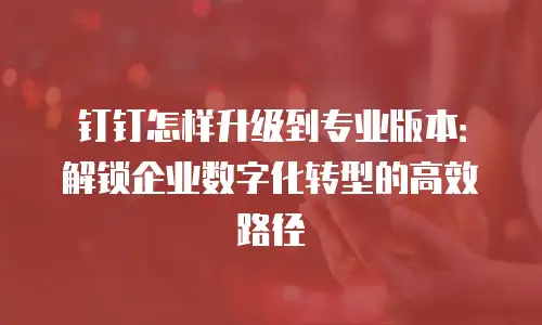 钉钉怎样升级到专业版本：解锁企业数字化转型的高效路径