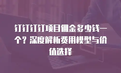 钉钉钉钉项目佣金多少钱一个？深度解析费用模型与价值选择