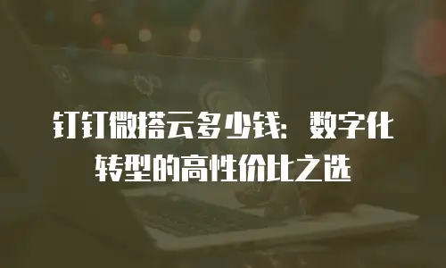 钉钉微搭云多少钱：数字化转型的高性价比之选